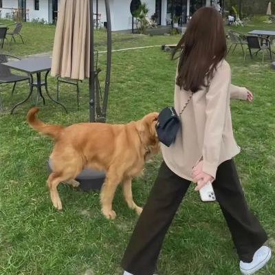 乞赎的灵魂